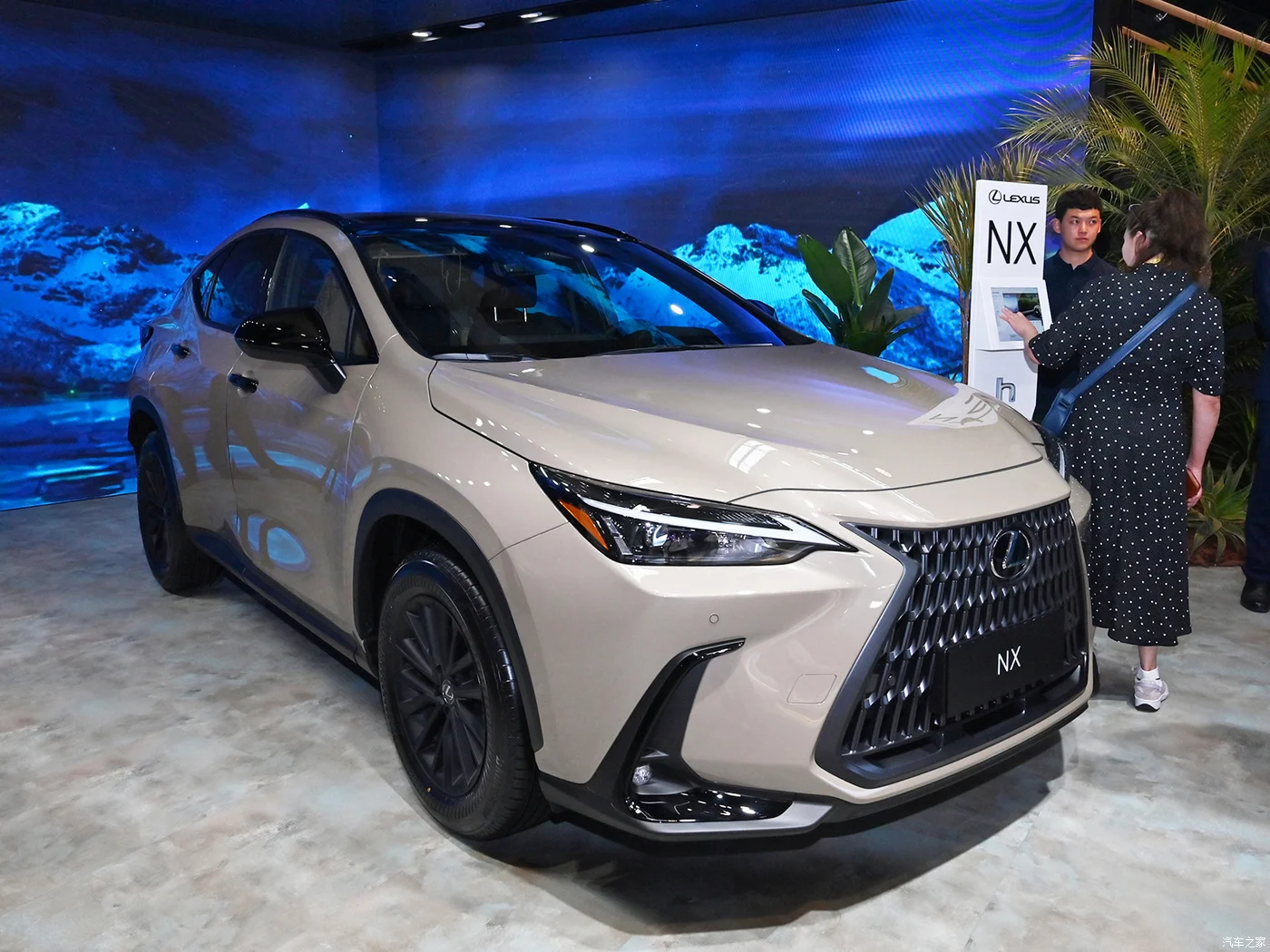 2023 внедорожник Lexus NX с 5 дверями и сиденьями автомобиль LM UX Ev по сниженной цене