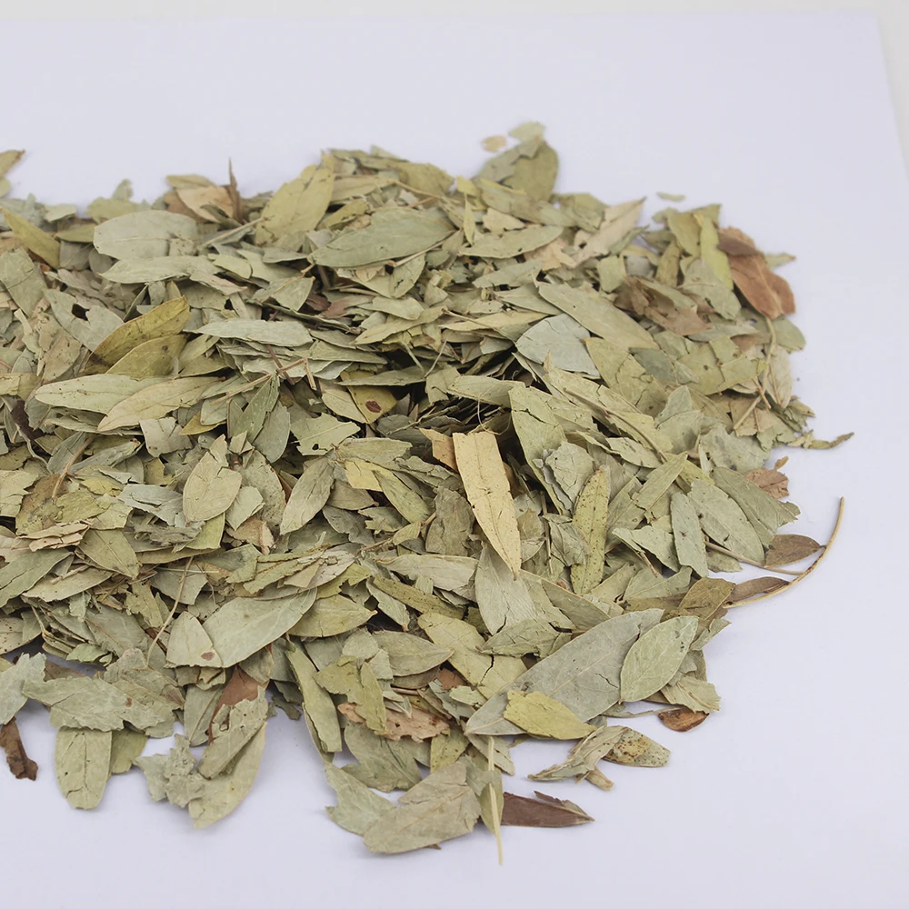 Wholesale Price High Quality Dry Senna Leaf  Stimulant Laxatives Dried Cassia Senna Leaves Senna Tea