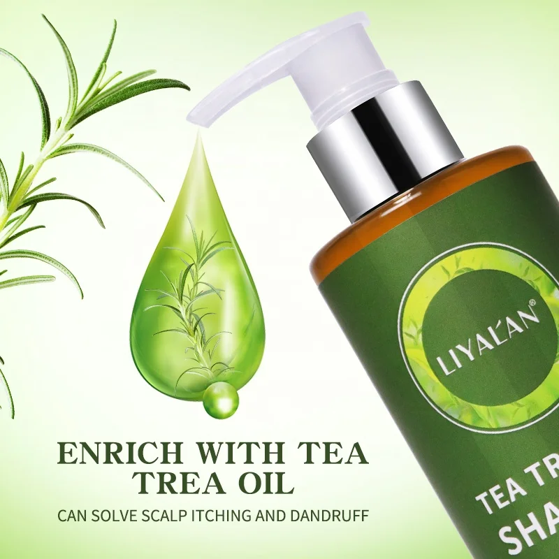 Wholesale Private Label Anti Dandruff Anti-itch Anti-inflammation Natural Tea Tree Oil Shampoo