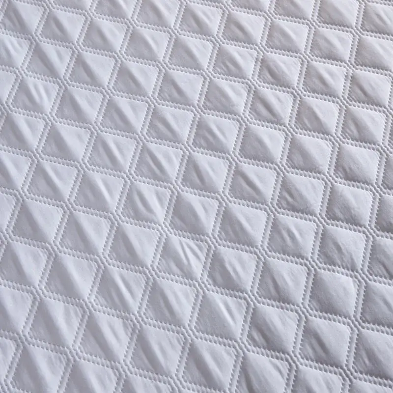 Cotton/Polyester Knitted Anti-Bacteria All-Season Bed Bug Protection Anti-Pull Waterproof Mattress Cover