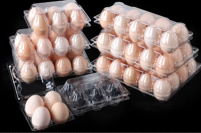 Reusable Clear Plastic Egg Tray Carton holds Packaging for Chicken Farm
