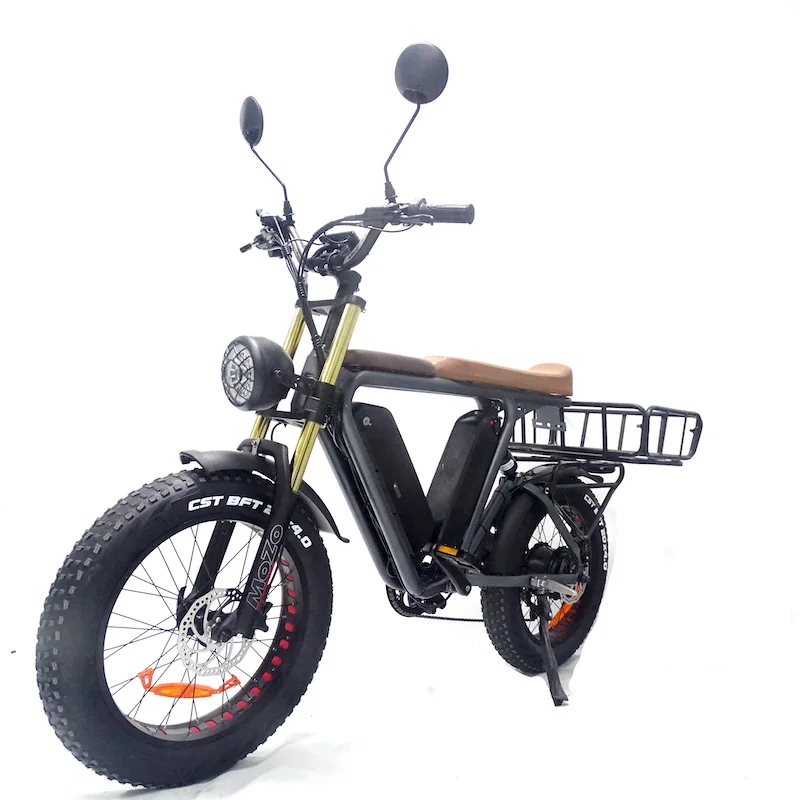 20 inch fat tire bike electric food delivery 1000v 48v 22ah dual lithium batteries cargo ebike  electric cargo bike