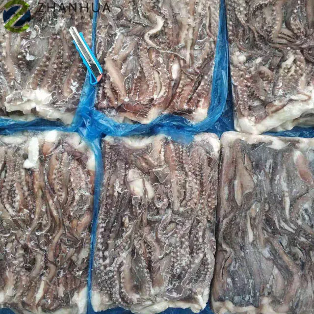 Frozen Peru Giant Squid Tentacle Squid Head