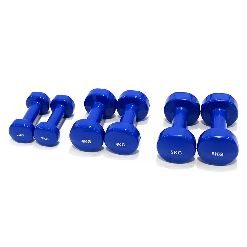 Dip Plastic Dumbbell Wholesale Cheap OEM Gym Dumbbell Weight Lifting Direct Manufacture Hex Dumbbell Set Body Building