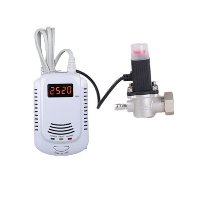 Factory wholesale  lpg gas detector with solenoid valve lpg gas alarm with solenoid valve battery  Voice alarming