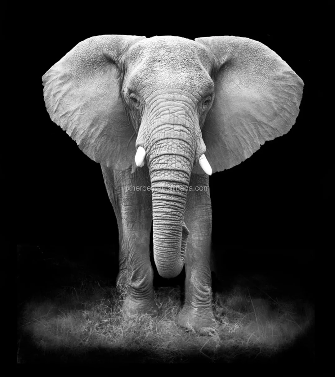 White Elephant Design Modern Style Living Room Bedroom Wall Mural Wallpaper 3D