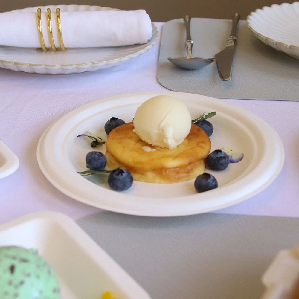 7-Inch Biodegradable Sugarcane Pulp Paper Plate Disposable Compostable round Dish Cake Fruit Lunch Bagasse Container