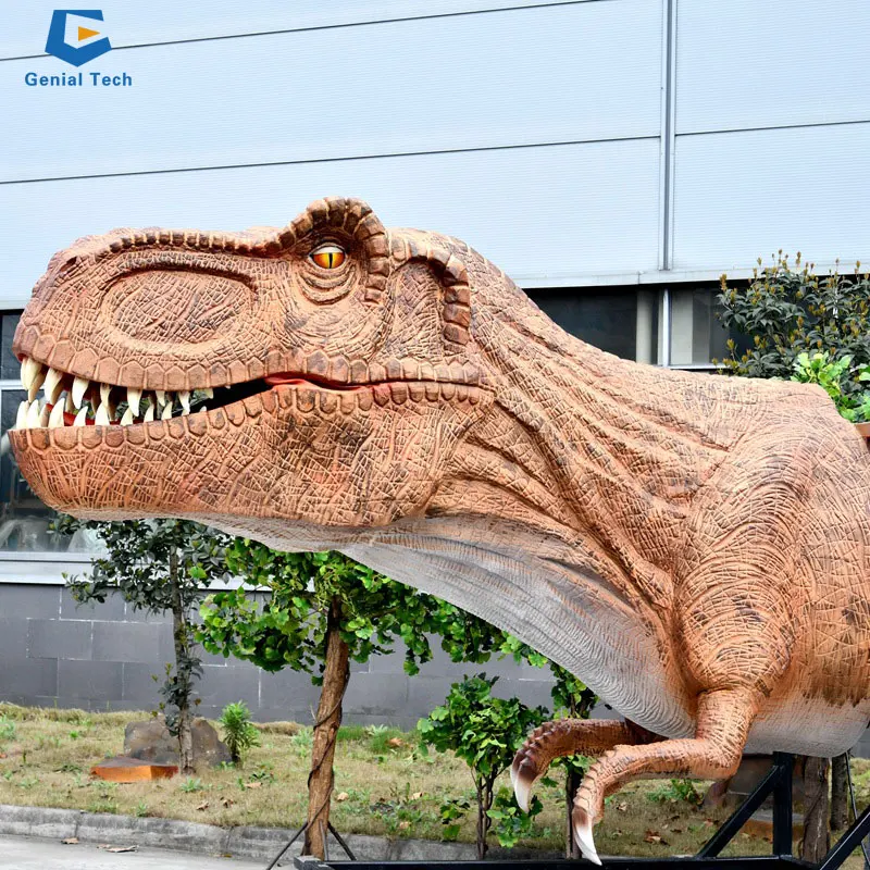 Dinosaur Theme Park Model Dinosaur Head