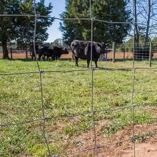 Hot Sale Deer Farm Fencing Livestock Sheep Wire Mesh Fence Cattle Fence