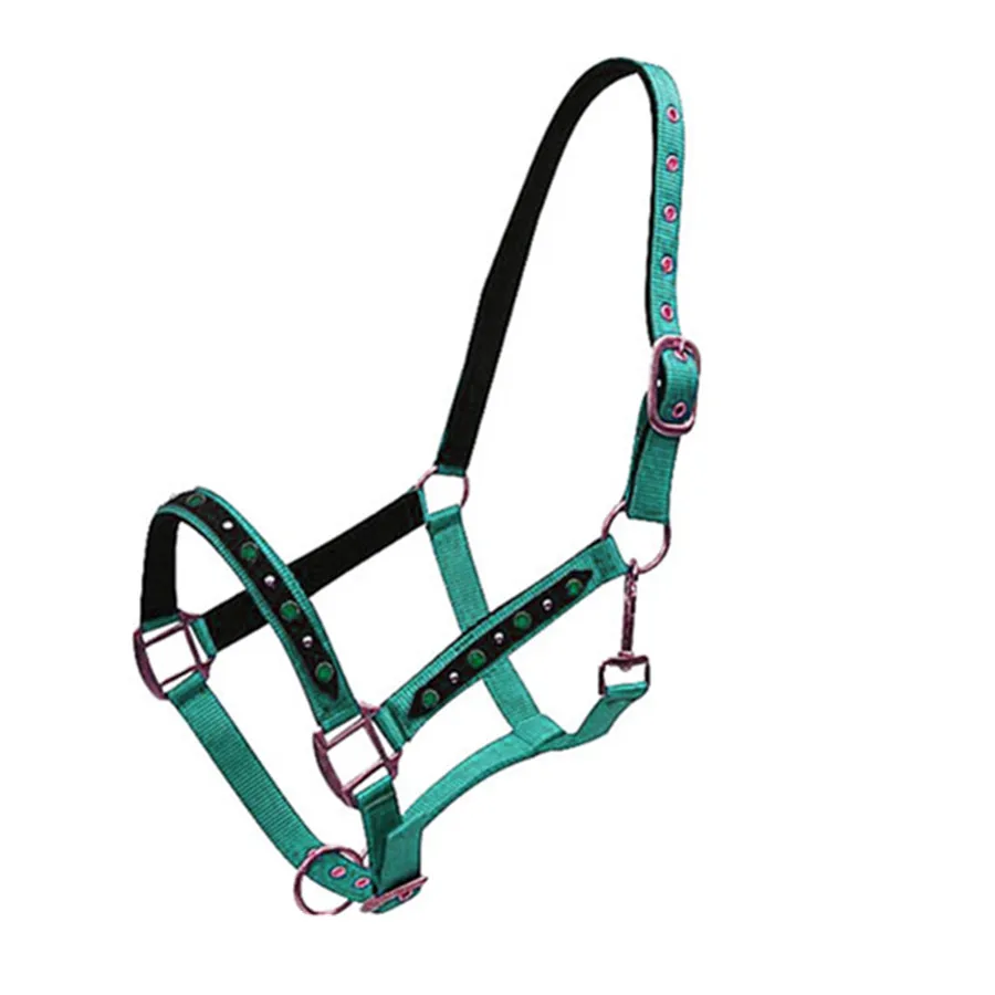 Equestrian Equipment Webbing Rainbow Horse Halter with hardware