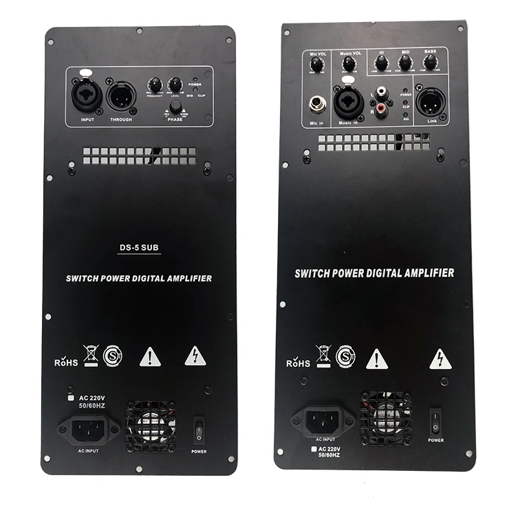DS-5  350W 600W 500W 2 channel class D power amplifier module subwoofer full range audio