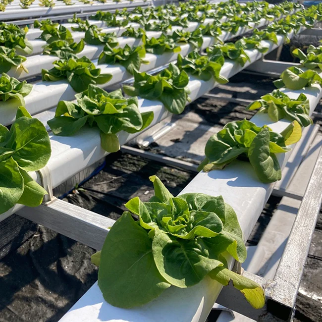 smart farm Planting pvc 50mm nft channel hydroponics vertical automated indoor leafy vegetables hydroponics system