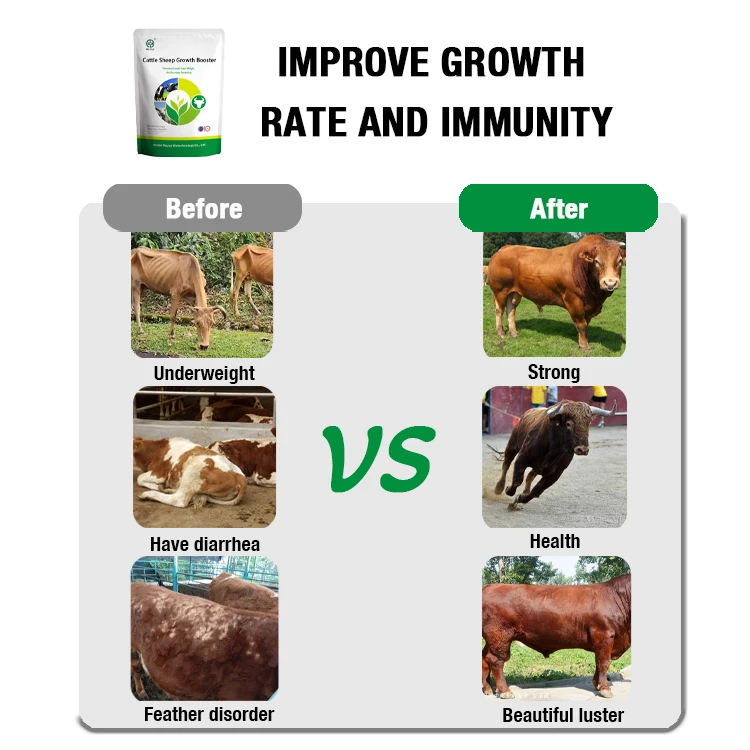 Hot sales cow cattle sheep goat vitamin probiotic growth booster to gain weight supplements for Animal feed additive