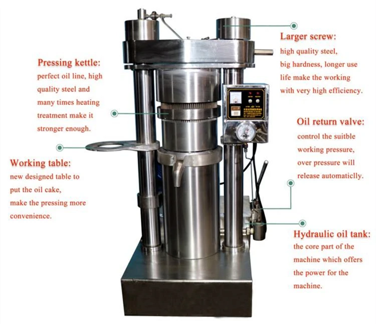 Commercial Vertical Hydraulic Oil Press Peanut Walnut Mustard Coffee Cocoa Bean Oil Extraction Machine