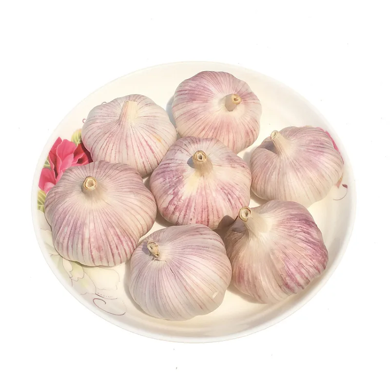 Factory Wholesale Price Fresh Purple White Garlic Supplier Export Good Quality Garlic