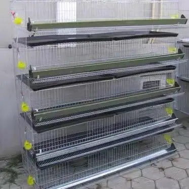 
New good quality lower price commercial farm quail cages with 6 tiers for sale 