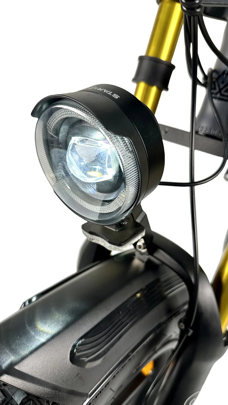 QUEENE/Free Shipping warehouse 20inch 48v 15ah lithium battery Mountain E Bike with 750W 1000W motor for Adult bike electric