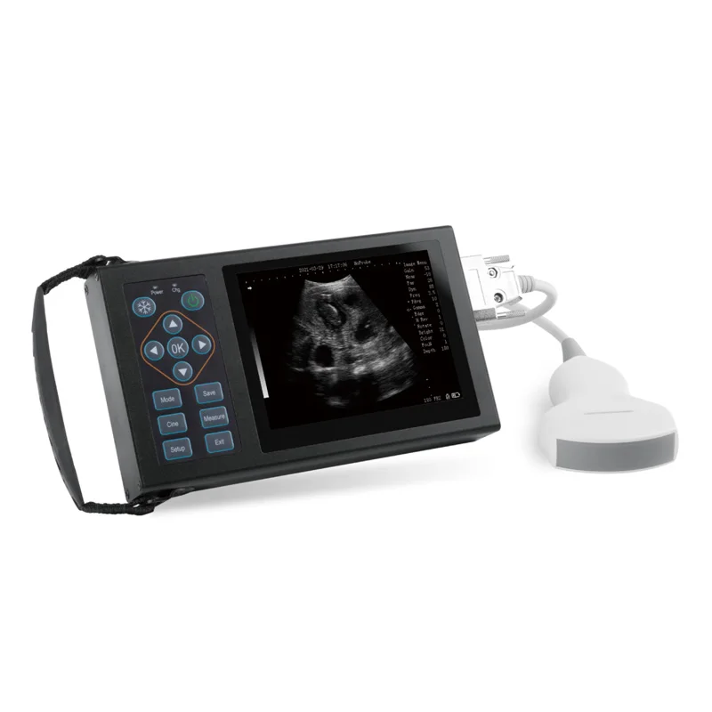 Портативная ультразвуковая система для собак