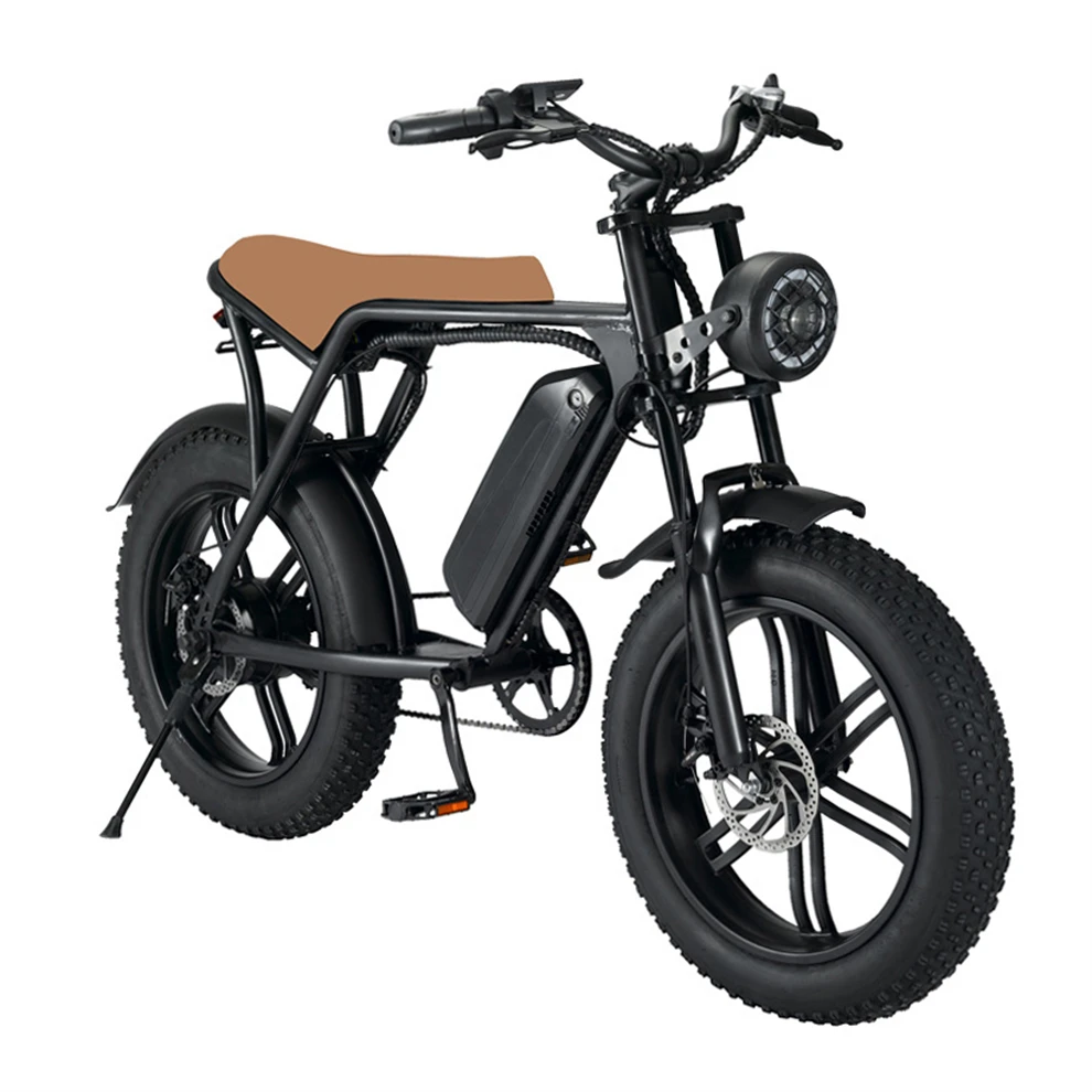20 Inch Electric Bicycle Electric Bicycle 1000W Folding Bike Electric Bicycle