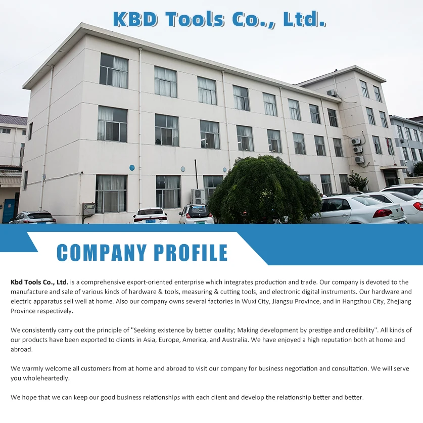 Professional Digital Dial Indicator Gauge High Cost Performance Ratio Good Quality Cheap and Portable