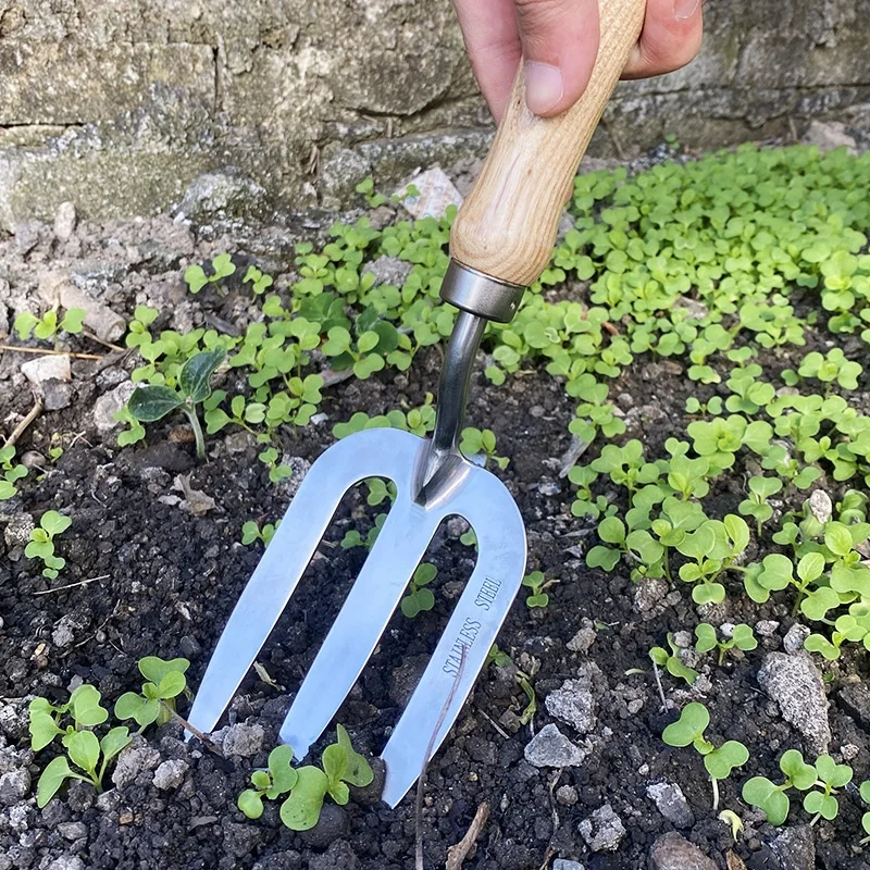 Chinese Supplier Stainless Steel Head Planting 3 Prong Garden Hand Fork