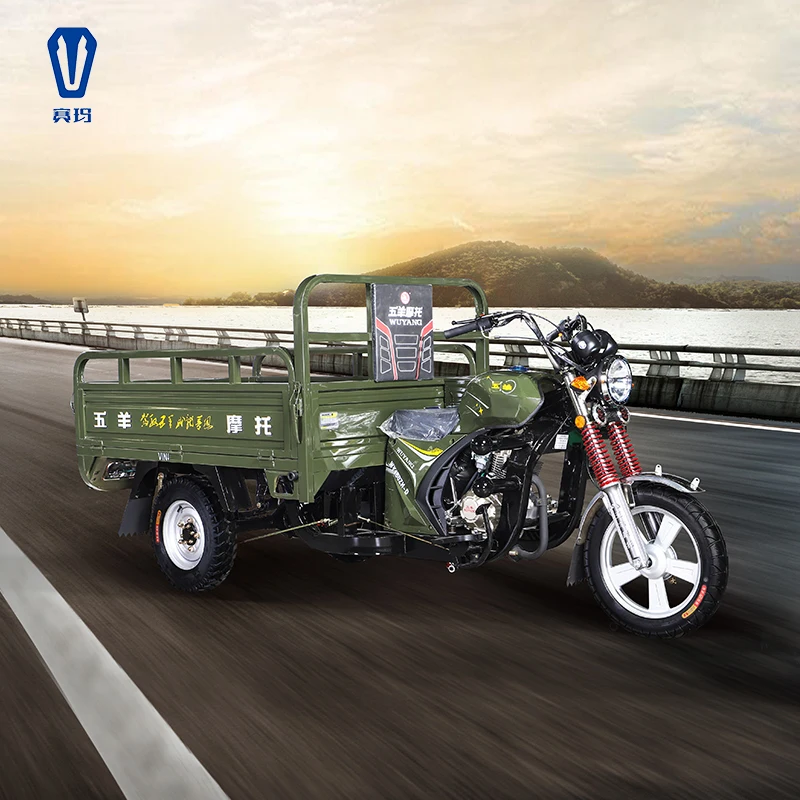 
Motorcycle Tricycle for Adult, Three Wheel Cargo Motorcycle for Cargo 