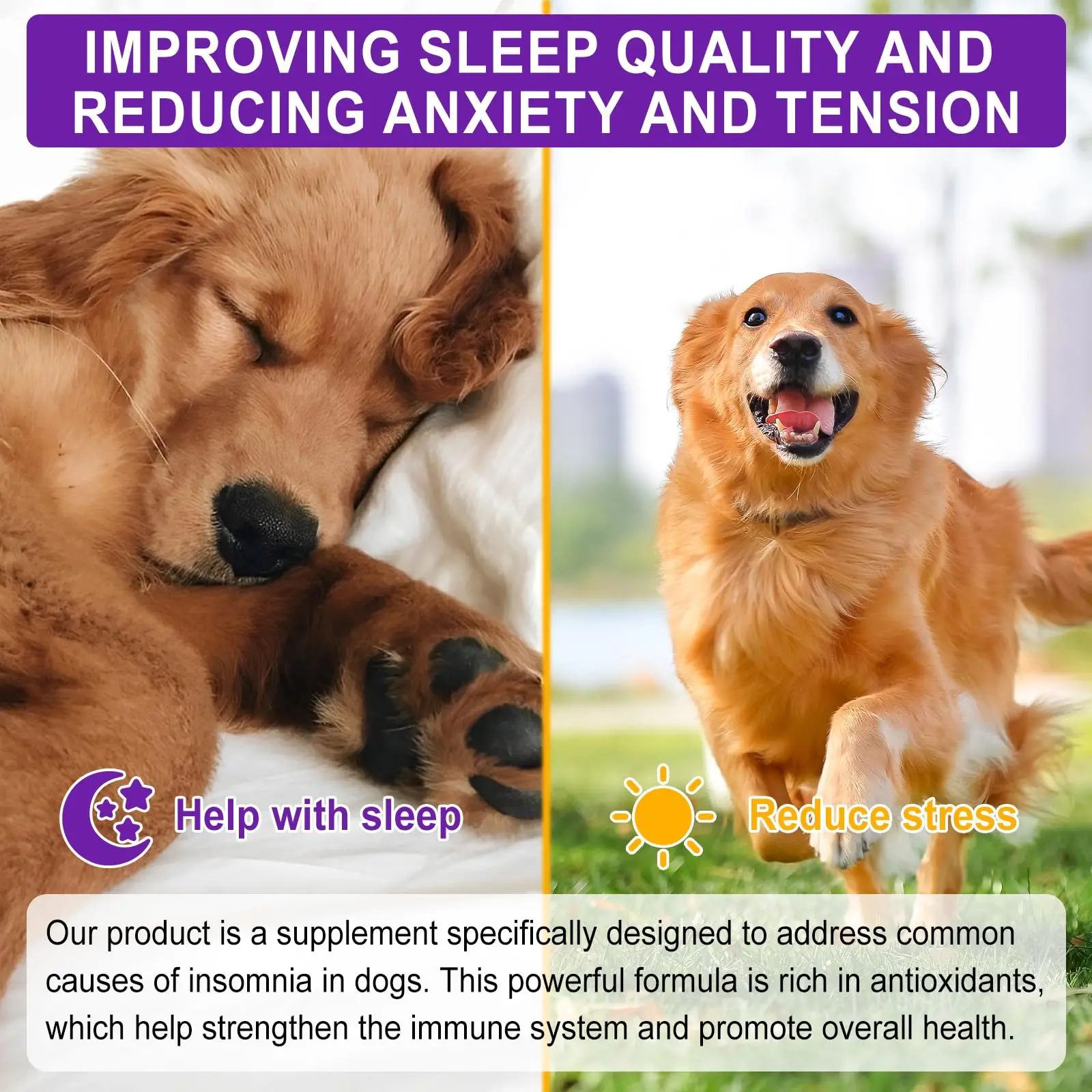 Oem Nighttime Calm High Safety Dog Calming Aid Melatonin Soft Chews Dog Treats