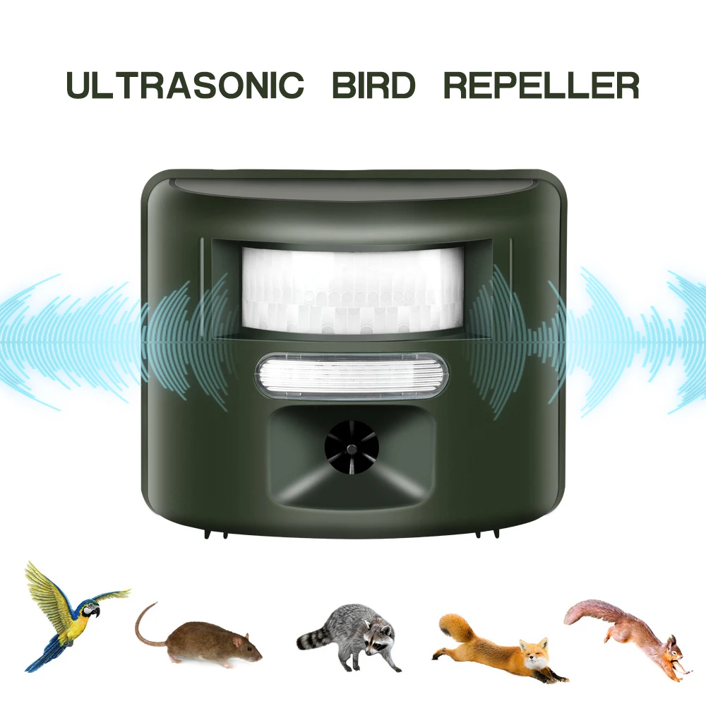 
a pest in the house a repellent in french repeller bed bug 