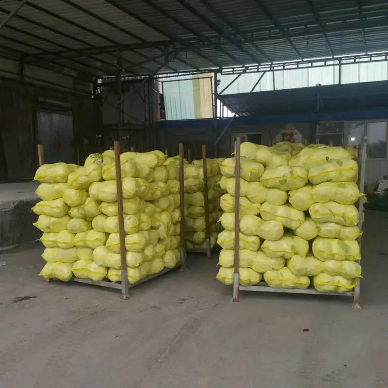 Свежая капуста по низкой цене, самый продаваемый экспортер капусты картонный мешок