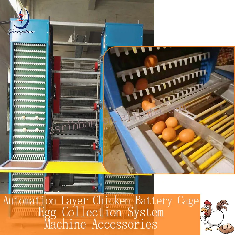 Poultry Chicken Farm Egg Collection Conveyor System Spare Parts 08B Pin Chain For Chicken Cage