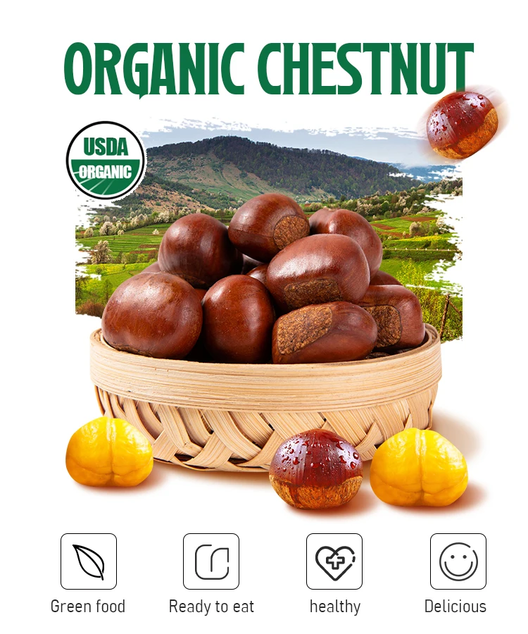 Bulk good quality New Crop chestnut Meikeduo China chestnuts Organic Chestnut