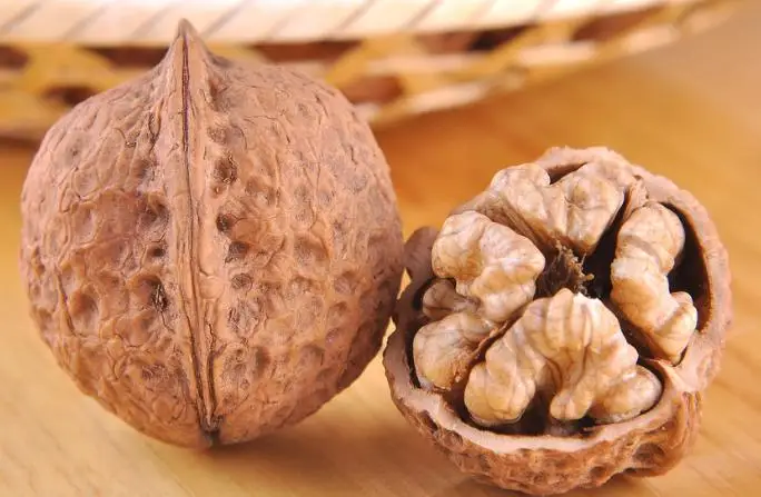 High Quality Chinese Walnut in Shell