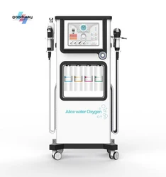 Goodway Peeling Facial Hydrogen Facial Small Bubble Dermabrasion Hydra Aqua Machine hydro dermabrasion facial machine