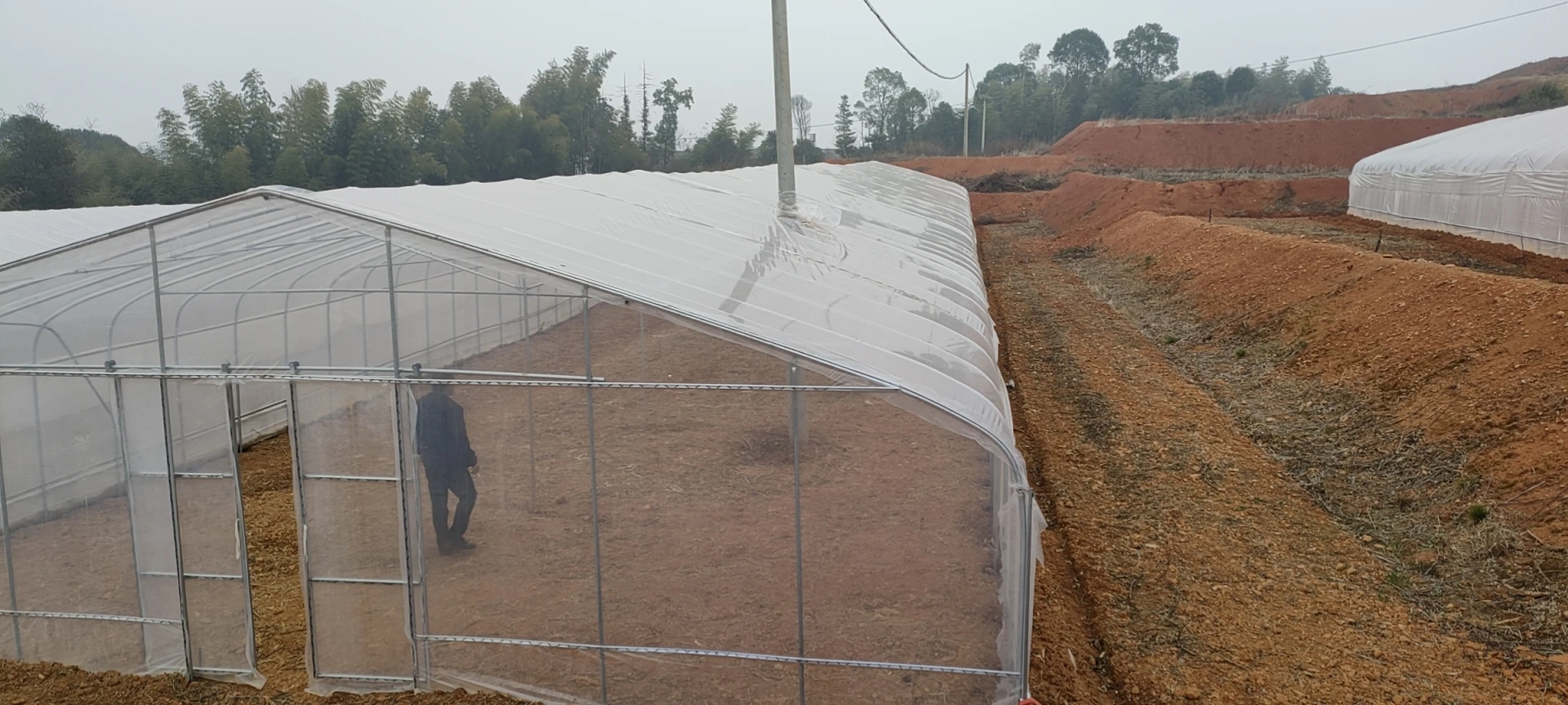 Large Single Tunnel Agricultural Plastic Greenhouse Hydroponic Strawberry Plant Factory Price Steel Plastic Film Covering