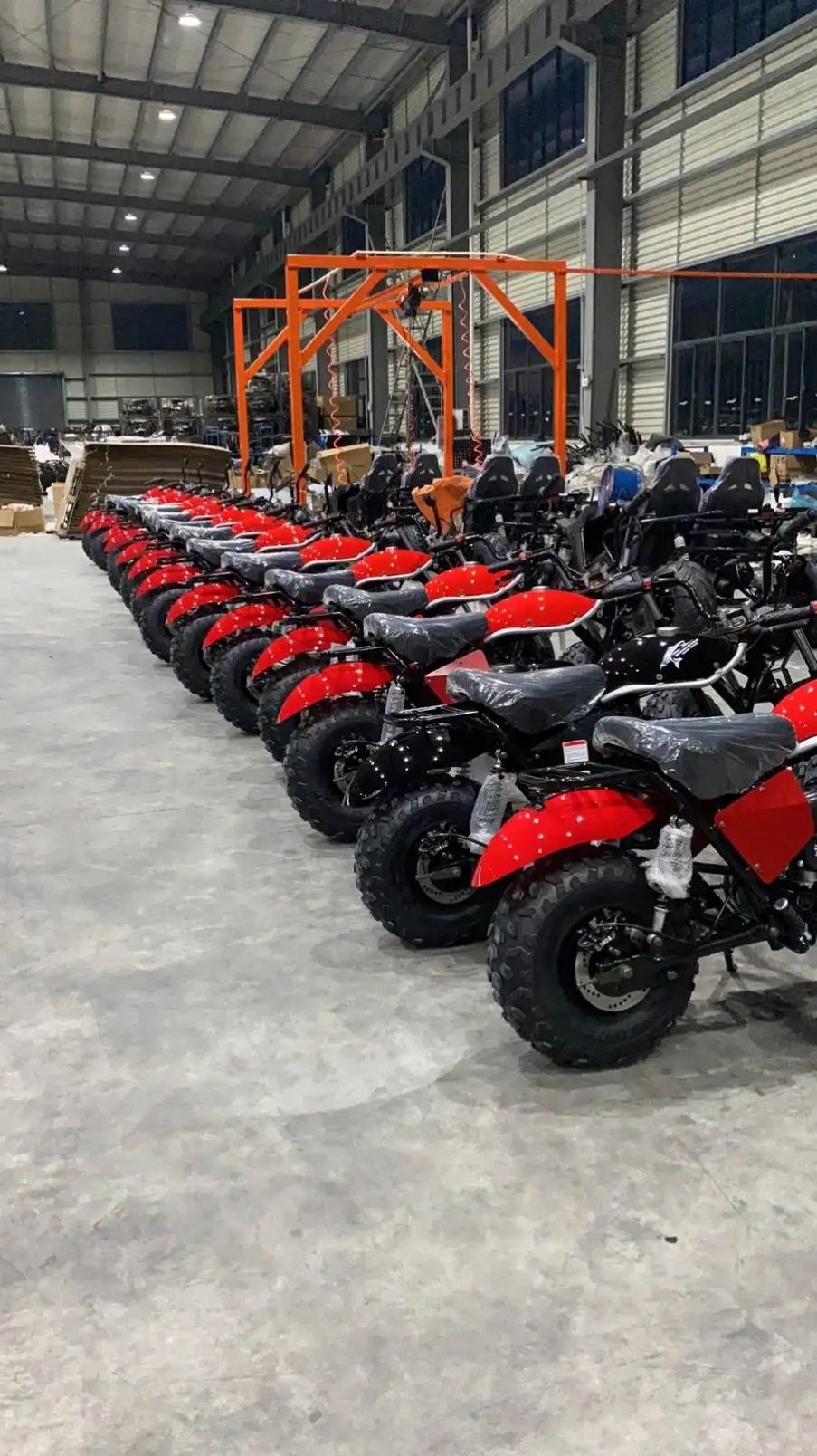 ELECTRIC TRAIL BLAZER STORM TBM200 MX196-2 MINI CROSS