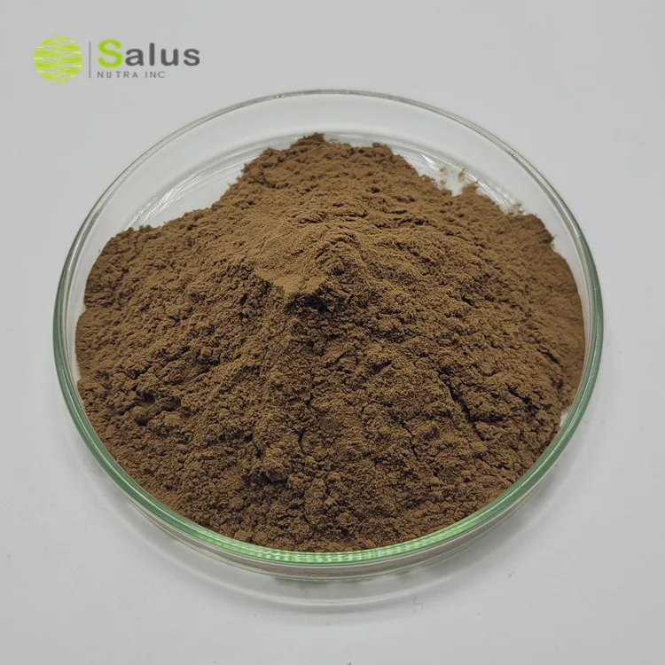 Pygeum Africanum Bark Extract With Phytosterols 2.5% For Men Health