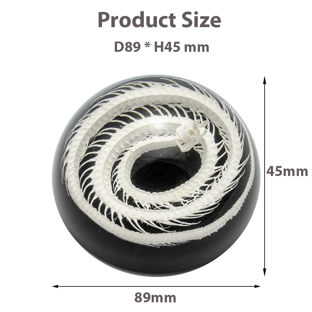 taxidermy specimen manufacturer new design custom crystal clear transparent real snake skeleton resin half dome paperweights