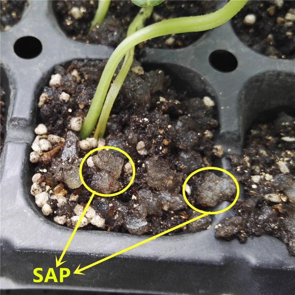 Agriculture Potassium Polyacrylate high water absorption resin SAP super absorbent polymer