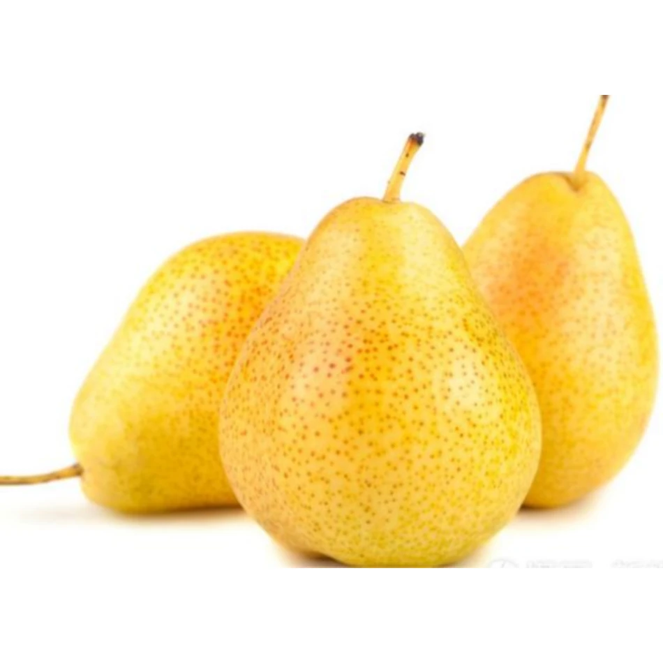 High quality with best price Chinese fresh pear fruit