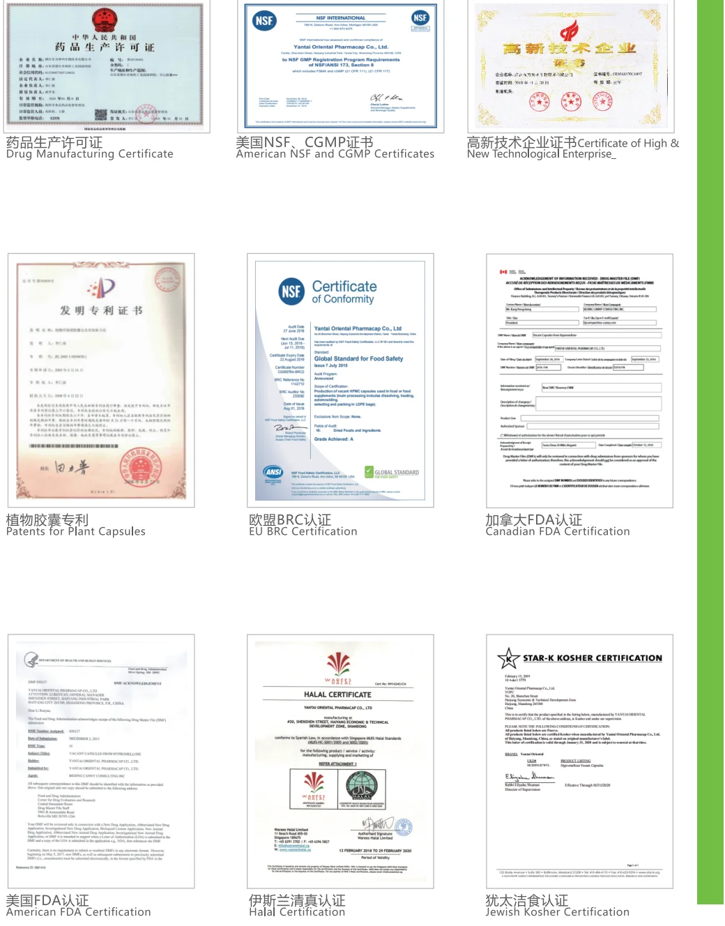 Безопасная зеленая капсула HPMC, извлеченная из сосновых деревьев