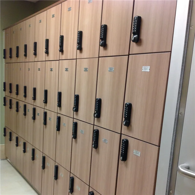Wood Grain RFID Lock Smart Hpl Locker Electronic Lockers for Gym Changing Room