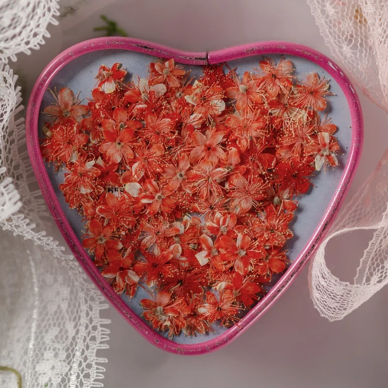 12pcs/bag Symplocos Paniculata DIY Nail Art Candle Soap Making Natural Plant Eco-friendly Real Pressed Flower