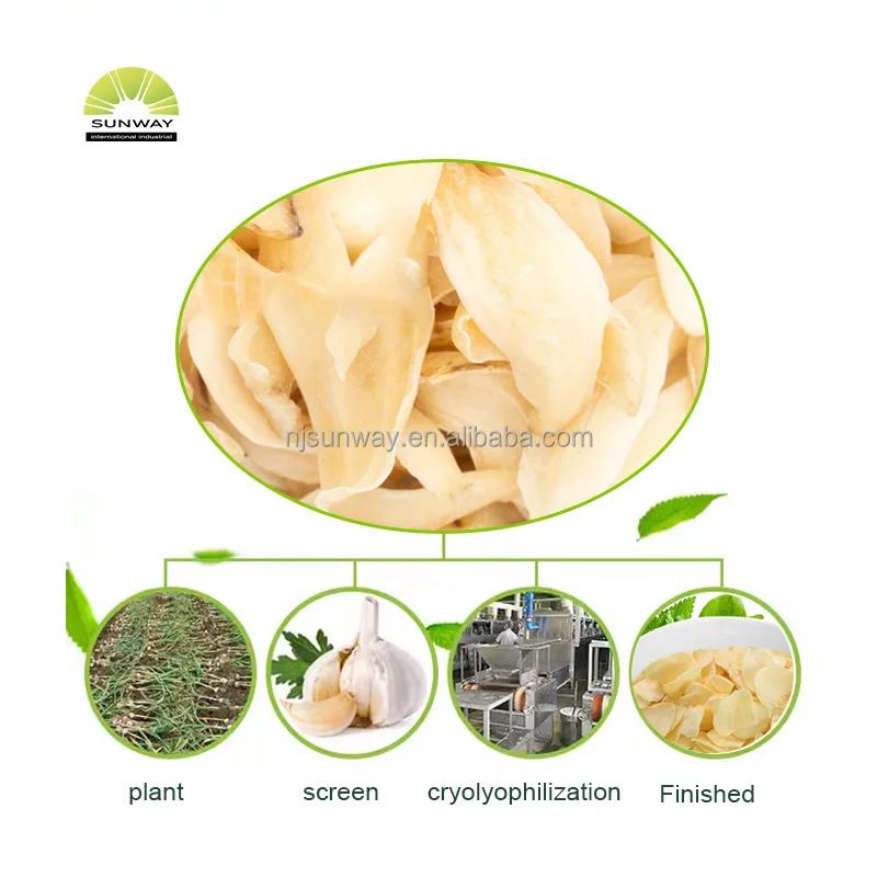 Pure natural Dehydrated Garlic Flakes