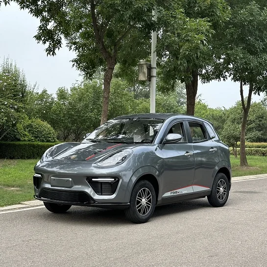 2024 New Design Electric Car F918 Both Steering Available Extend Available Pure Ev Car Range 80-120KM Popular EV Car