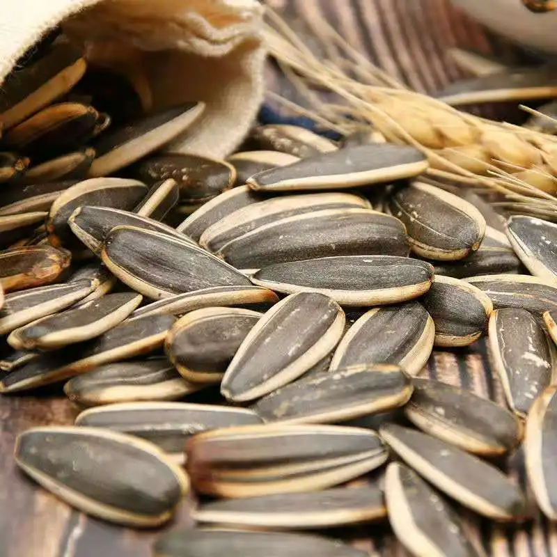 Raw China Wholesale Sunflower Seeds 363 Inner Mongolia best quality cheap price export factory
