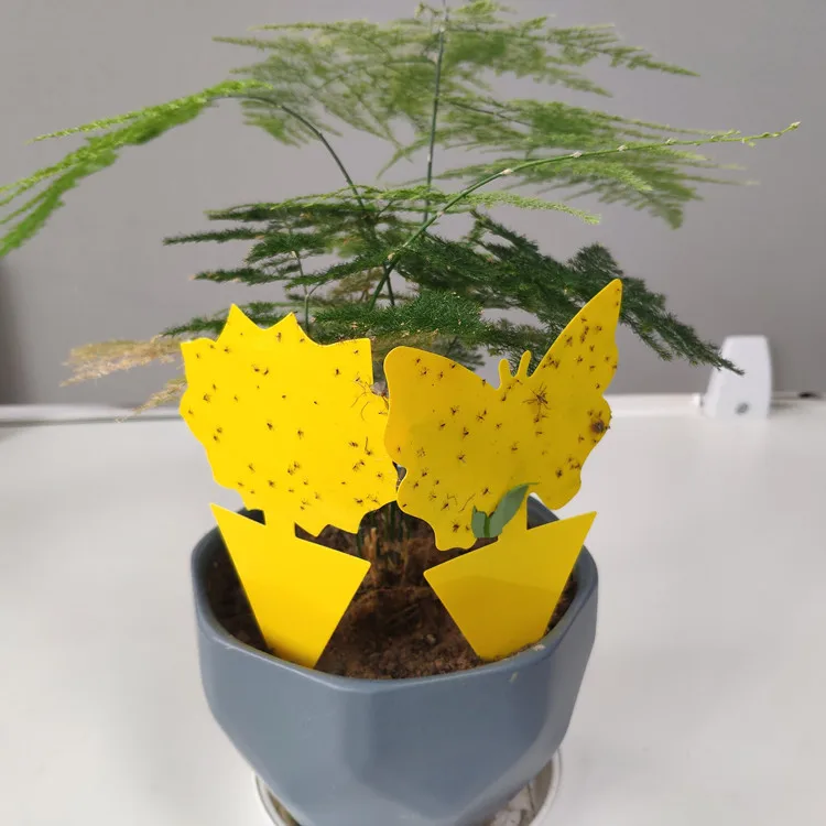 Strong Flies Sticky Traps Bugs Sticky Catching Aphid Insects Pest Killer Outdoor Fly Board Bait Flies Double Traps Sticker