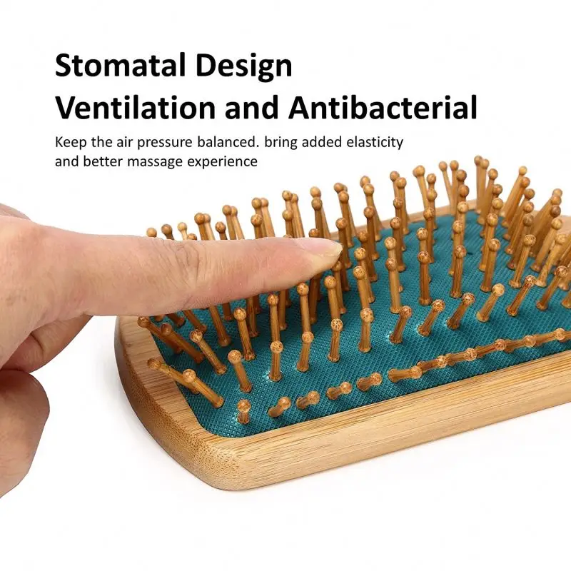 In Fcs Hairbrush Eco Oem Rainbow Massage Large Brushes Grass Curved Masage Set 24 Ningbo Massag Custom Bamboo Wooden Hair Brush