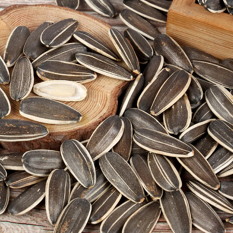 wholesale striped sunflower seeds Sunflower seed roasted seeds and nuts snacks authentic guarantee