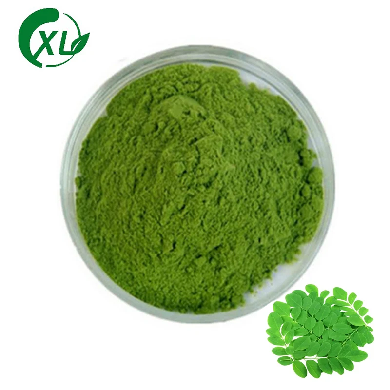 Moringa Leaf Powder Supply Natural Moringa Leaf Extract Powder Moringa Powder