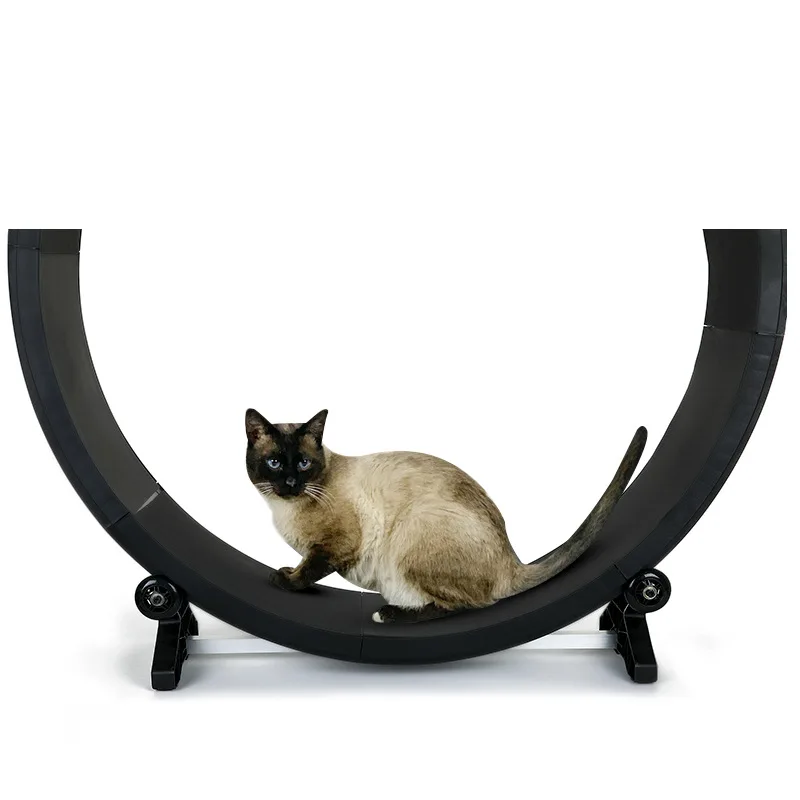 Kingtale High Quality Exercise Treadmill Cat Running Wheel Easy Assemble Large Size Cat Indoor Sustainable Cats for Cars Wheels